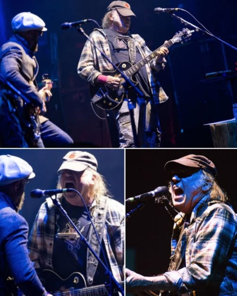 Neil Young & The Chrome Hearts Live